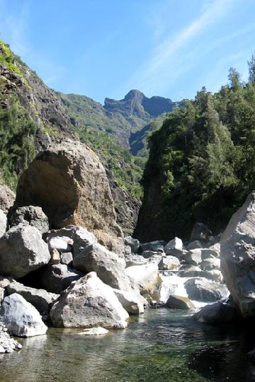 2008-04 Reunion 285.jpg